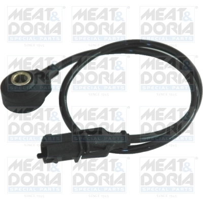 Knock Sensor